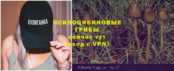 кокаин Дмитриев