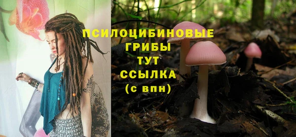 кокаин Дмитриев