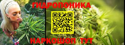 таблы Гатчина