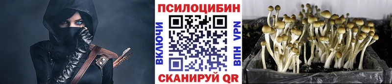 Галлюциногенные грибы GOLDEN TEACHER  Красногорск 