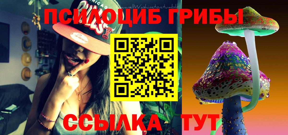 Псилоцибиновые грибы мицелий Красногорск